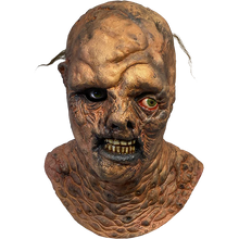 Load image into Gallery viewer, Scary mask with detailed texture on a white background