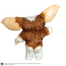 Load image into Gallery viewer, back of gizmo on display