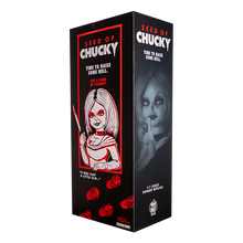 Load image into Gallery viewer, display box