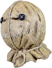 Load image into Gallery viewer, side of mask on display