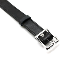 Load image into Gallery viewer, collar on display