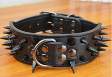 Load image into Gallery viewer, collar on display