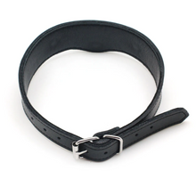 Load image into Gallery viewer, back of collar