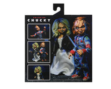 Load image into Gallery viewer, back of box on display