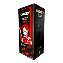 Load image into Gallery viewer, box displaying doll