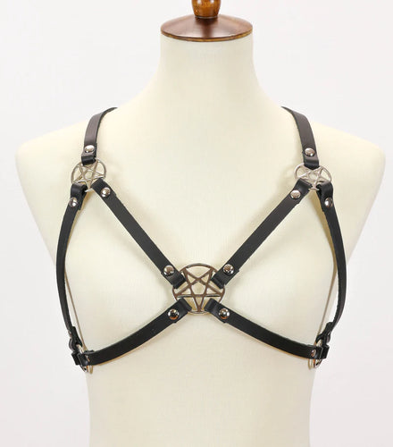 front of harness on display