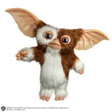 Load image into Gallery viewer, front of gizmo on display
