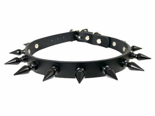 Black leather collar with 1